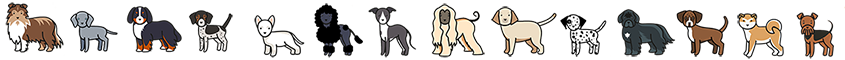cartoon graphic of different dog breeds a graphic of various cartoon dog breeds added to areas of the website for a visual accent